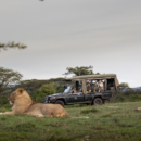 175_Game drive experience