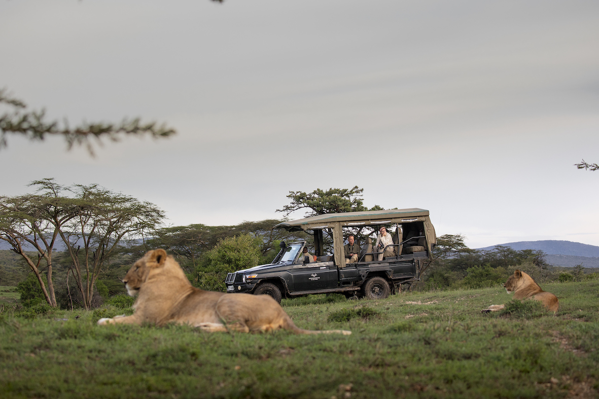 175_Game drive experience