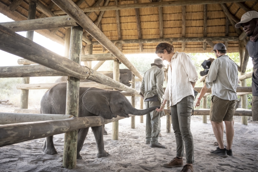 Elephant Havens(1)